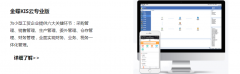 金蝶KSI專業(yè)版