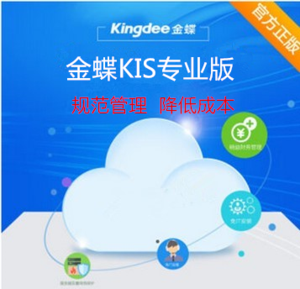 金蝶KIS  專(zhuān)業(yè)版